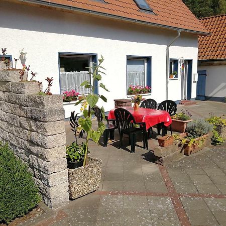 Ardea Alba Apartment Wunstorf Bagian luar foto