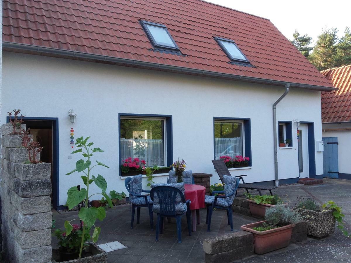 Ardea Alba Apartment Wunstorf Bagian luar foto