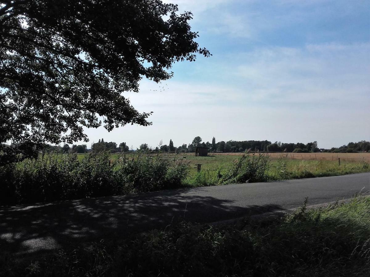 Ardea Alba Apartment Wunstorf Bagian luar foto